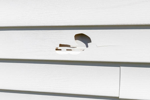 Best Carpet Removal and Disposal  in Gasport, NY