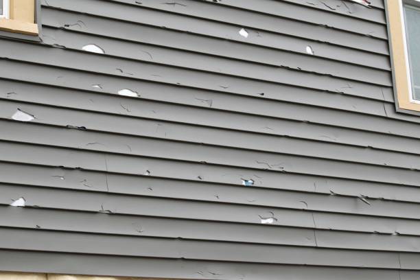 Best Hoarding Cleanup  in Gasport, NY