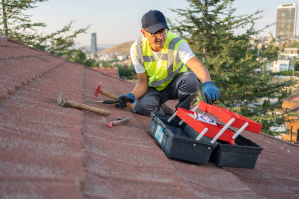 Best Same-Day Junk Removal Services  in Gasport, NY